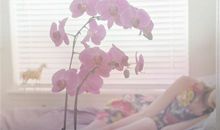 十二生肖中机智聪慧，智商最高的三大生肖