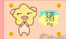 爱花钱的属猪女和哪个生肖最配