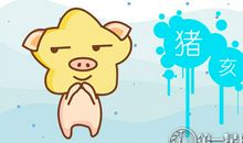 属猪女有个疼自己的哥哥是什么体验