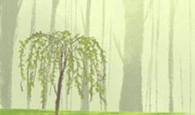 属鸡最无法释怀的事