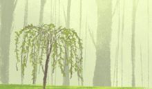 属马最无法释怀的事