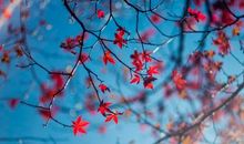 越多的爱，越容易失去的星座