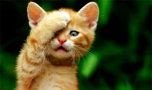 A型水象星座的人最容易被甩吗？