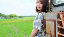 脾气不好，内心极有主见的生肖