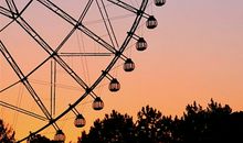 2019年属鼠人爱情运势会怎样