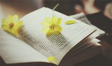 见面留微信，交友滥竽充数的星座