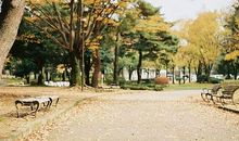 事业心很强的血型星座男