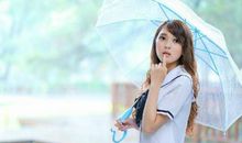 没有主见，最容易被人说服的生肖