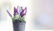 生命灵数，你的婚姻责任感有多强？