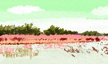 如何鉴定属狗男生有多爱你