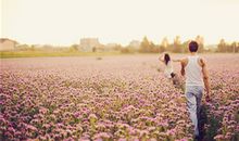 12星座爱情走不到终点的原因