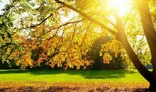 过的最没心没肺的星座