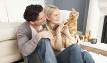 猫奴一个？十二生肖这些女生天天在晒猫