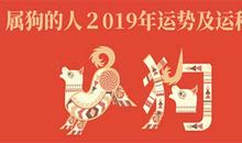 1985年属牛的人2017年运程大全及破解