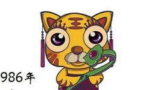 1986年属虎的人2017年运程大全及破解