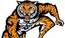 1938年属虎的人2017年运程大全及破解