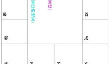 紫微斗数排盘怎么看？