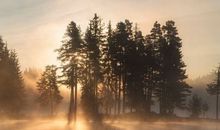 做这两种春梦的人一定不会出轨