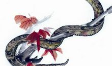 1941年属蛇的人2017年运程大全及破解