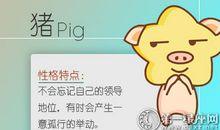 属猪女为什么不回男朋友微信