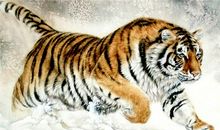 1962年属虎的人2017年运程大全及破解