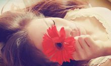 最不喜欢结交新朋友的生肖