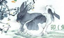 2011年属兔的人2017年运程大全及破解