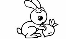 1987年属兔的人2017年运程大全及破解