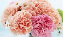 哪种血型星座的丈夫最好