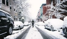 属猪男人的性格和脾气