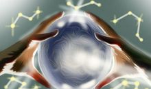 测你在同行眼里的地位