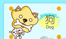 属狗如何把握人生的转折点