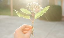 星座最受欢迎排行，你上榜了吗