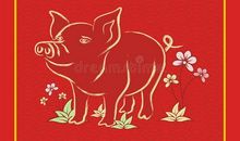 1983年属猪的人2017年运程大全及破解