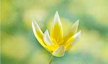 测你的爱情废材指数