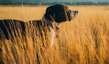 测你的同情心是否过于泛滥