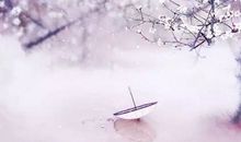 命盘中的12宫都有怎样的寓意