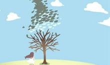 郁金香花语：郁金香代表什么