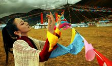 狗咬吕洞宾，不识好人心的生肖