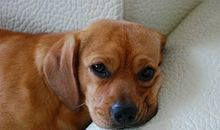 累觉不爱，这些星座天天都觉得很累