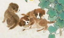 2017年属狗人5月运程解析