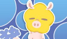 属猪九月要小心提防什么衰事