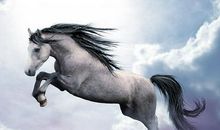 1966年属马的人2017年运程大全及破解