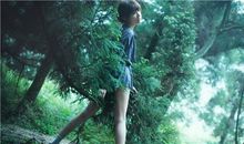 属猴的财运在哪个方向