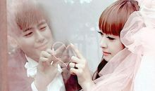 在爱情道路上最持之以恒的星座