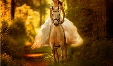 属猪本命年结婚好不好