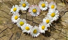 铃兰塔罗：爱情快递该怎么拆包不损坏而且更好？