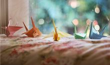 一生痴缠，12星座爱情道路的曲折指数