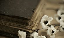 12星座最想对一年前的自己说什么