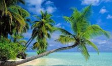 恋爱以后，这些星座让你很舒服